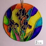 Irysy niebieskie koło