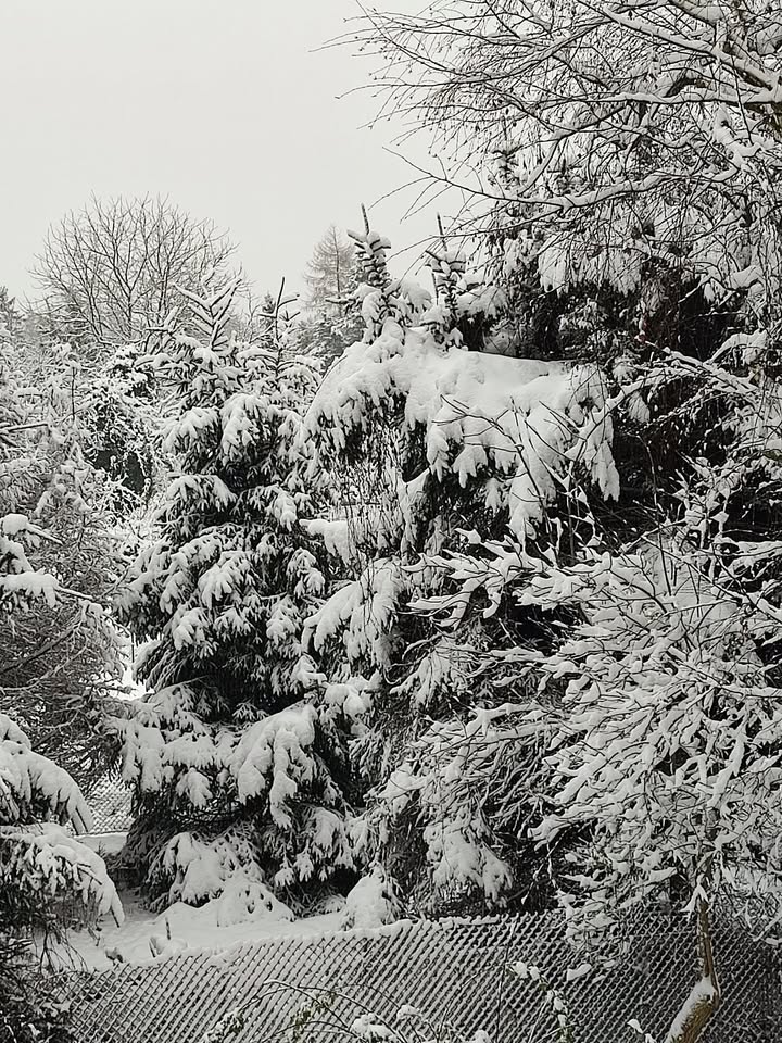 Witraże Malowane - Dorota Brewczyńska